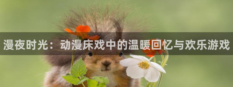 动漫新番资讯：漫夜时光：动漫床戏中的温暖回忆与欢乐游戏