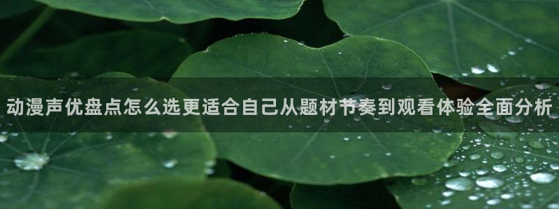 动漫分类导航：动漫声优盘点怎么选更适合自己从题材节奏到观看体验全面分析