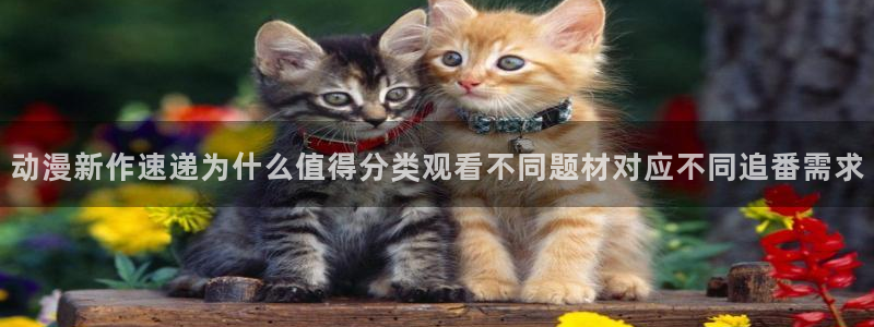 动漫新番资讯：动漫新作速递为什么值得分类观看不同题材对应不同追番需求