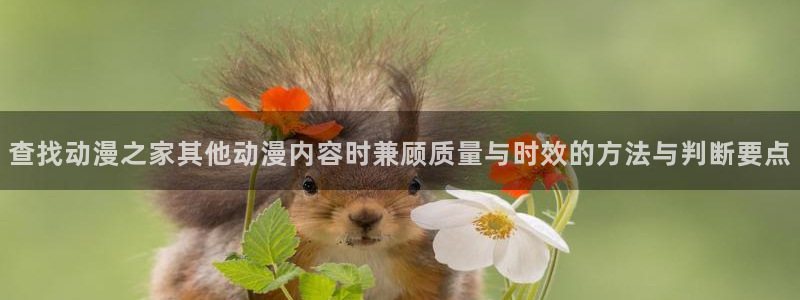 动漫网入口页面