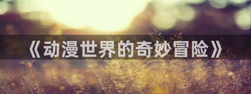动漫网入口导航