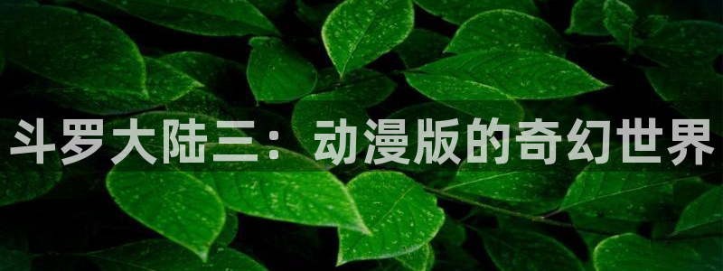动漫在线观看