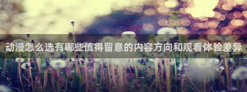 动漫新番资讯