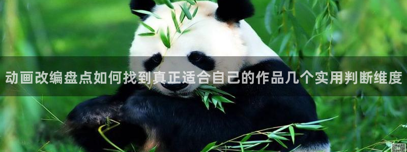 本季动漫