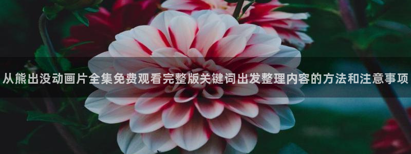 动漫更新时间